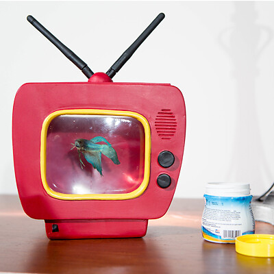 Betta vision acquario - -, a