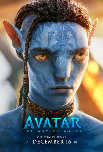 Avatar via dell acqua 14 - avatar, la