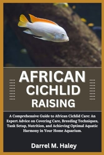African cichlid raising - cichlid, a
