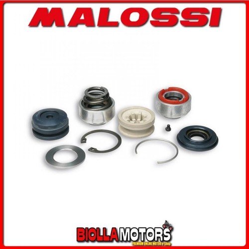 2015149b kit revisione - 2015149b,
