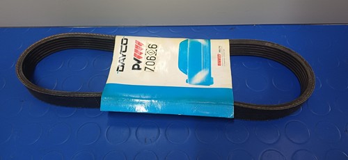 Cinghia servizi poly per - cinghia,