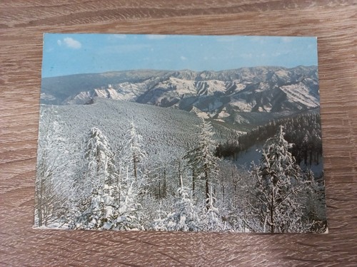 Cartolina foresta campigna - di,