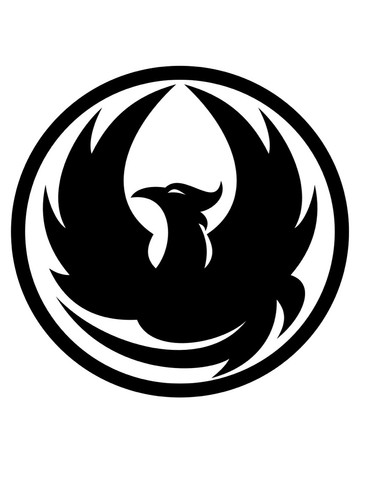 Dragon goggles vinyl - ,