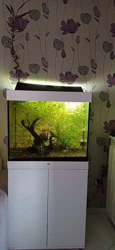 Acquario juwel lido 200 - acquario,