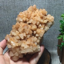 611g New find esemplare