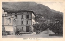 1890) CARTOLINA EDOLO VIALE