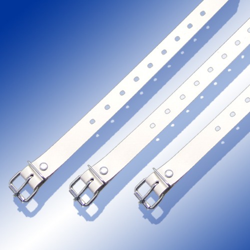 Fibbia cintura bianco con - fibbia,