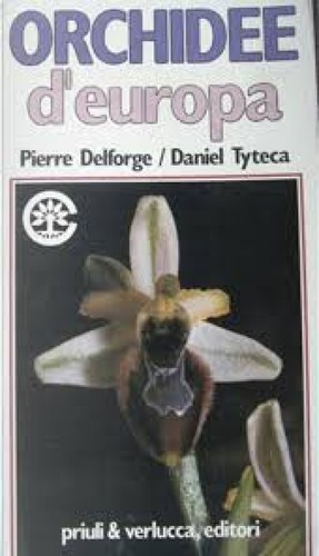 Orchidee europa pierre - orchidee,