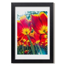 Quadro Tulup MDF incorniciato