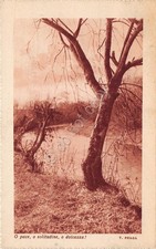 Postcard trees and stream