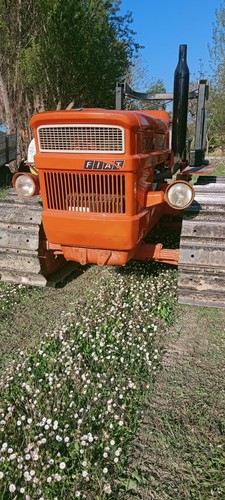 Trattore agricolo usato fiat - trattore,