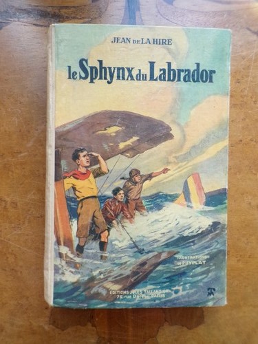 9886 hire sphynx labrador - 9886,