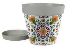 VASO PIANTE GRASSE FIORI SEMI