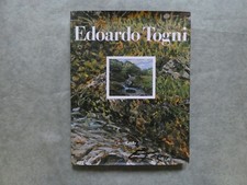 Edoardo togni pittore brescia - edoardo,