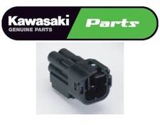 SPINOTTO NERO CENTRALINA