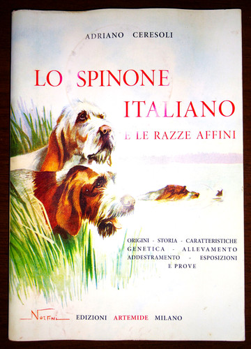 Ceresoli spinone italiano - ceresoli, "