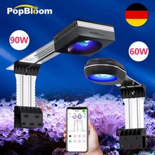 PopBloom RL60 RL90 WiFi