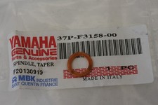 Yamaha Xmax 125 Fork Leg Screw