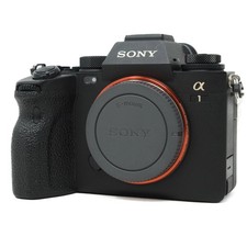 Fotocamera mirrorless Sony A1