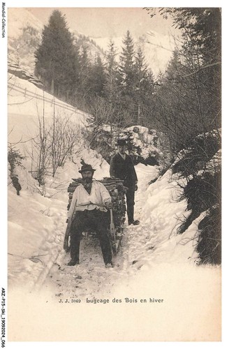 Arzp15 0963 ski slittino in - arzp15-0963-ski,