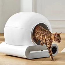 Lettiera Automatica Smart per