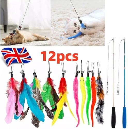 Kitten toy cat feather bell - kitten,
