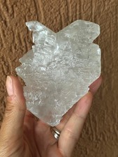 Minerali ** GESSO CODA DI