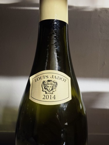 Empty wine bottle - wine,