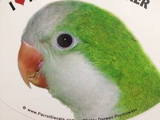 Adesivo paraurti decalcomania