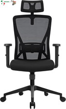 Sedia da Ufficio con Schienale