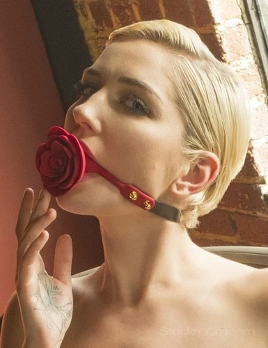 Rose pain giocattolo bocca - sm,