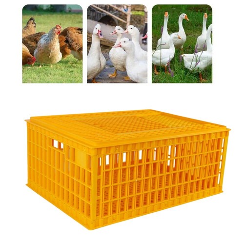 Contenitore cestino