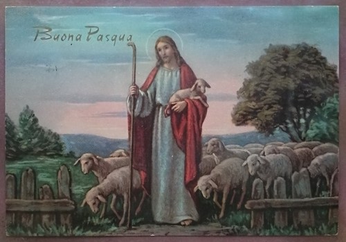 Buona pasqua cartolina - buona,