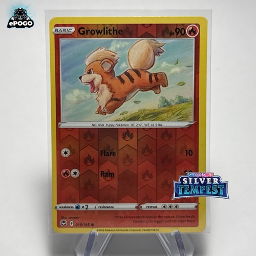 Growlithe 019 195 - 019/195, holo