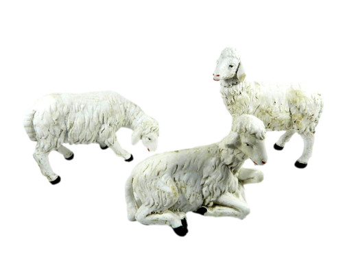 Pecore per pastori alti - pecore,