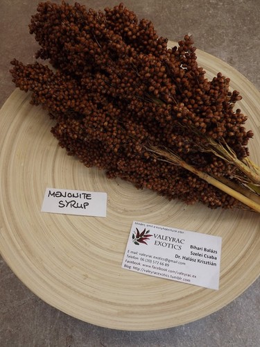 Menonite sciroppo sorgo - ,