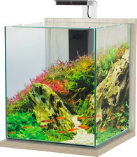 Acquario Pesci Jalaya