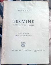 Virgilio Santin Termine