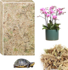 190G Naturale Sfagno Muschio