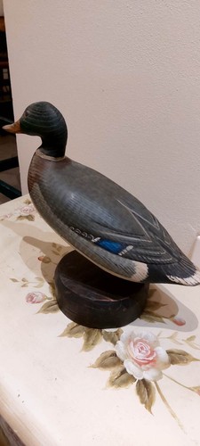 Gary cooper duck anatra in - gary,