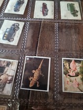 Figurina Ferrero Serie Il