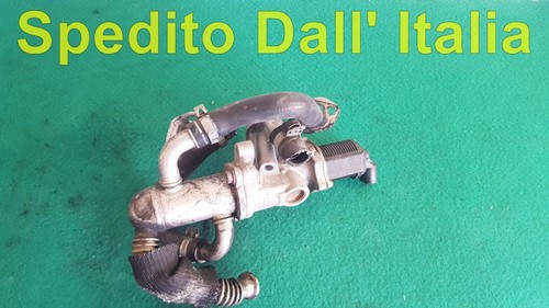 Radiatore valvola egr fiat - radiatore,