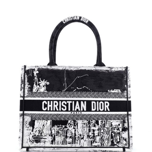 Christian dior book tote - book,