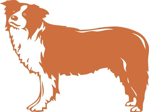 Cane dog stikers - dog, stikers-adesivo