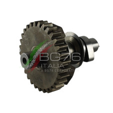 ALBERO A CAMMES ad. MOTORE