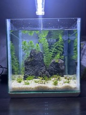 acquario Nano Cube