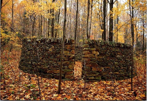 Cartolina frank lloyd wright - cartolina,