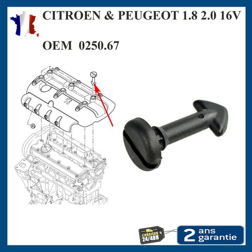 Clips clip fixation cache - clips,
