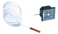 Termometro industriale