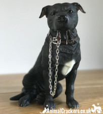 Staffordshire Bull Terrier